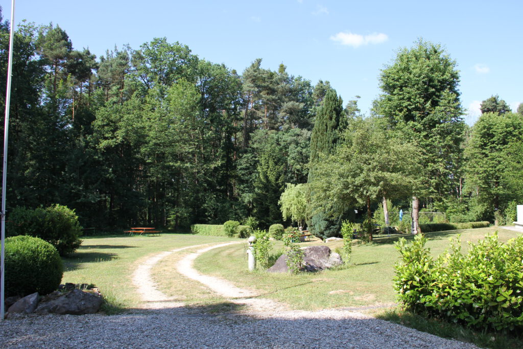 IMG 3891 1024x683