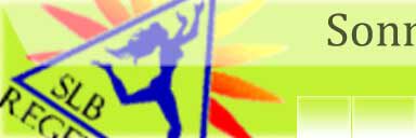 cropped slb banner home.jpg